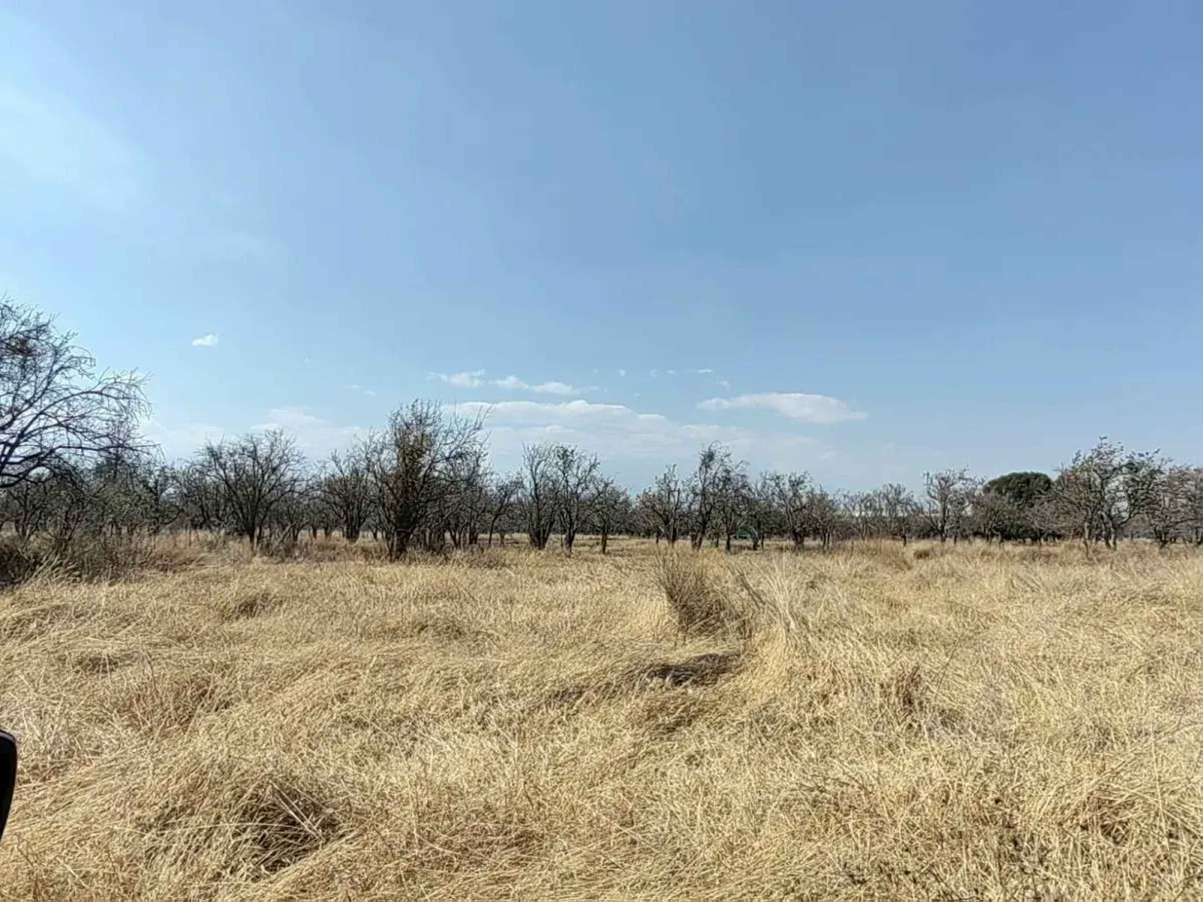 Terreno En Venta En Huejotzingo Centro, Huejotzingo, Puebla