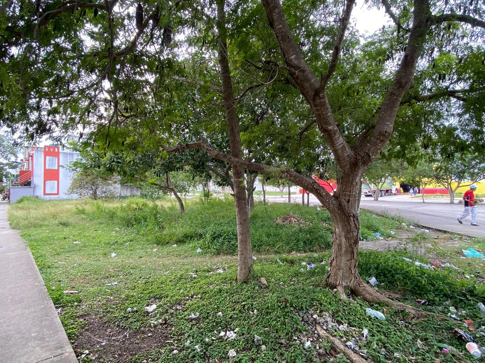 Terreno Spot2