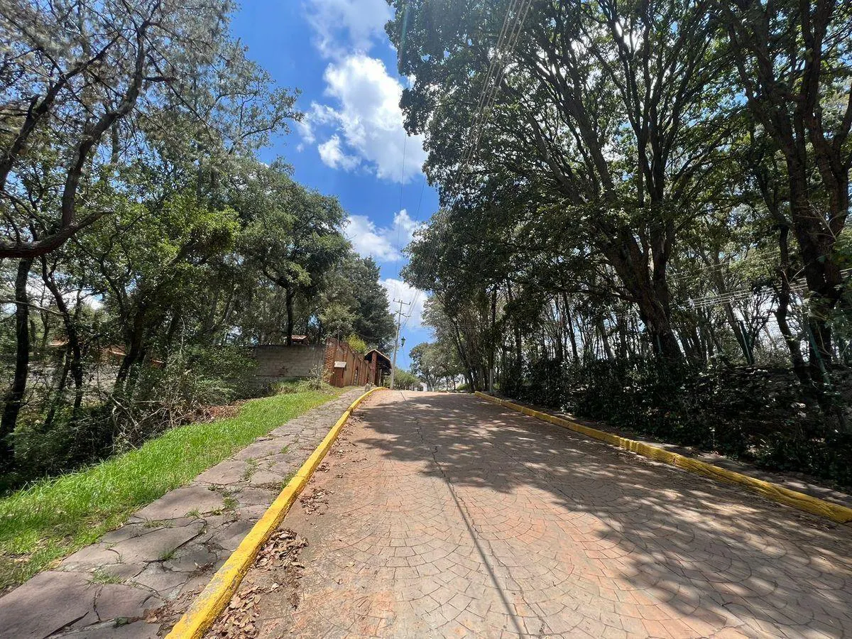Terreno Spot2