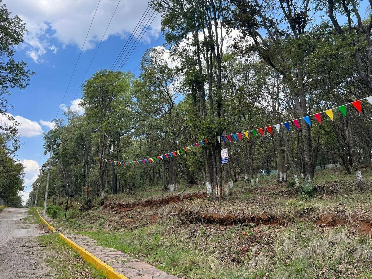 Terreno Spot2