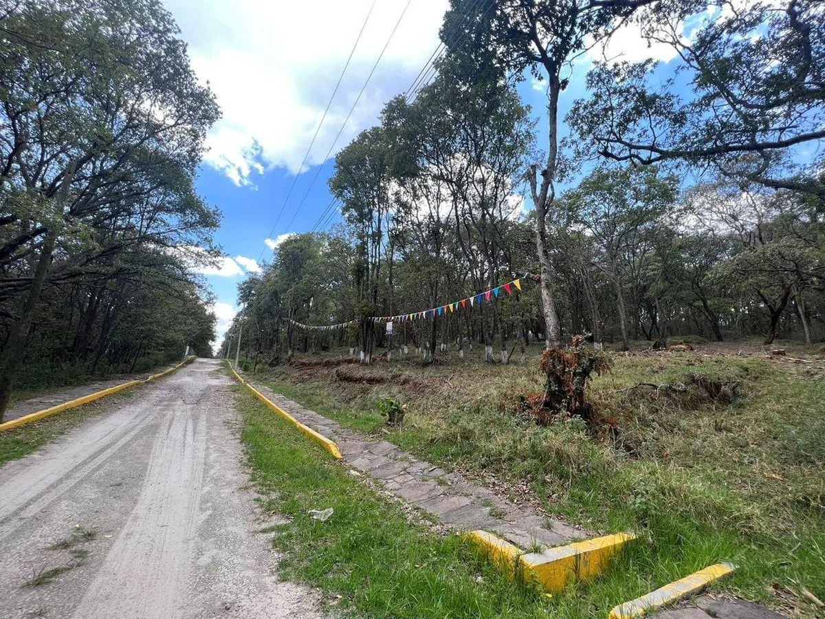 Terreno Spot2