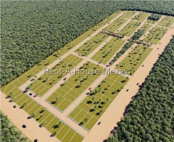 Terreno Spot2