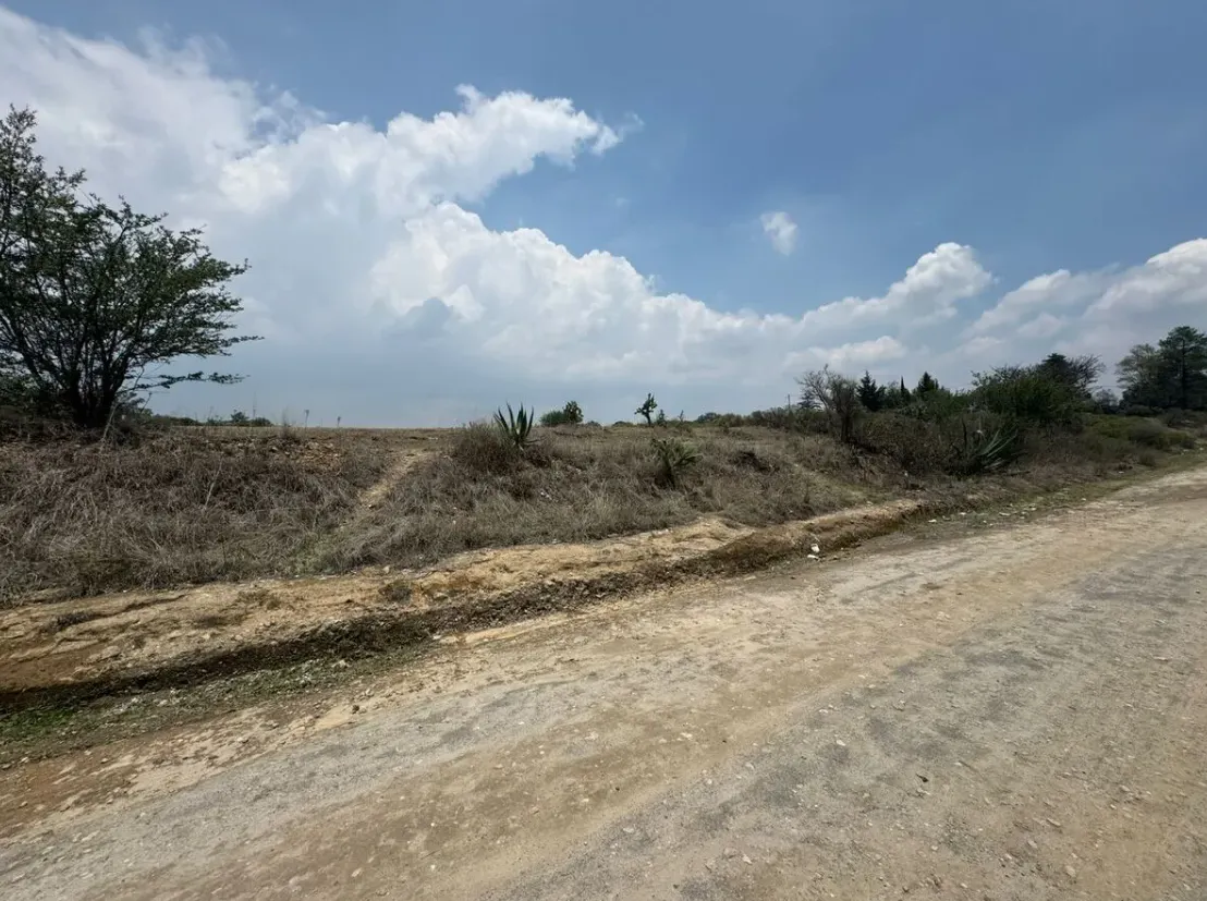 Terreno Spot2