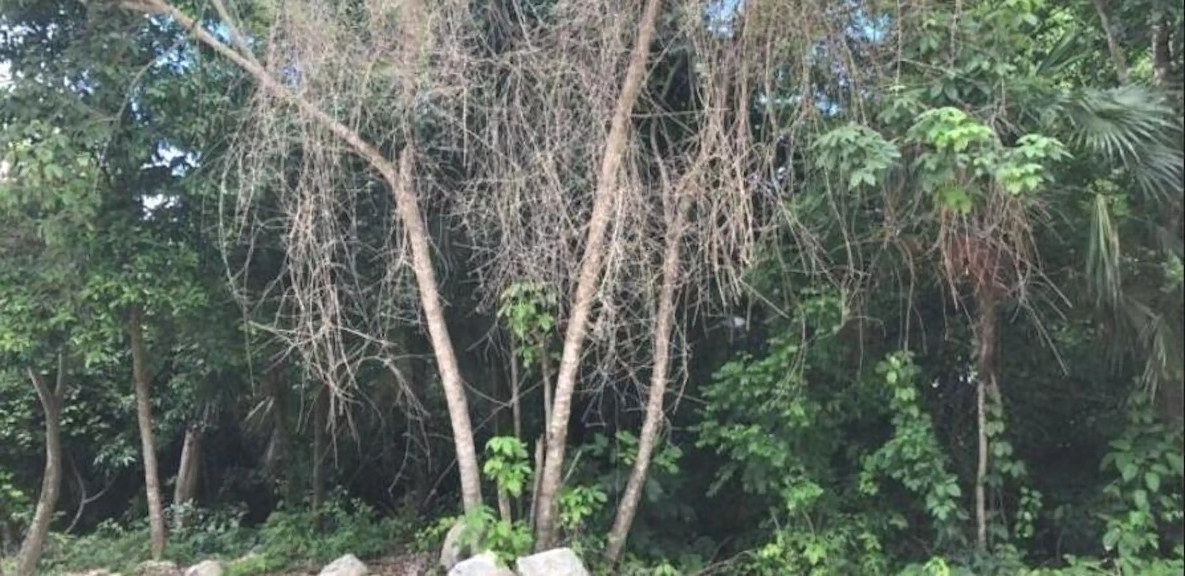 TERRENO EN VENTA DE 164M2 EN PUERTO MORELOS LISTO PARA ESCRITURAR CON AMENIDADES