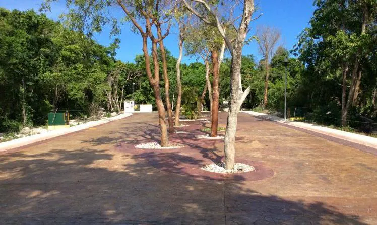 Terreno Spot2