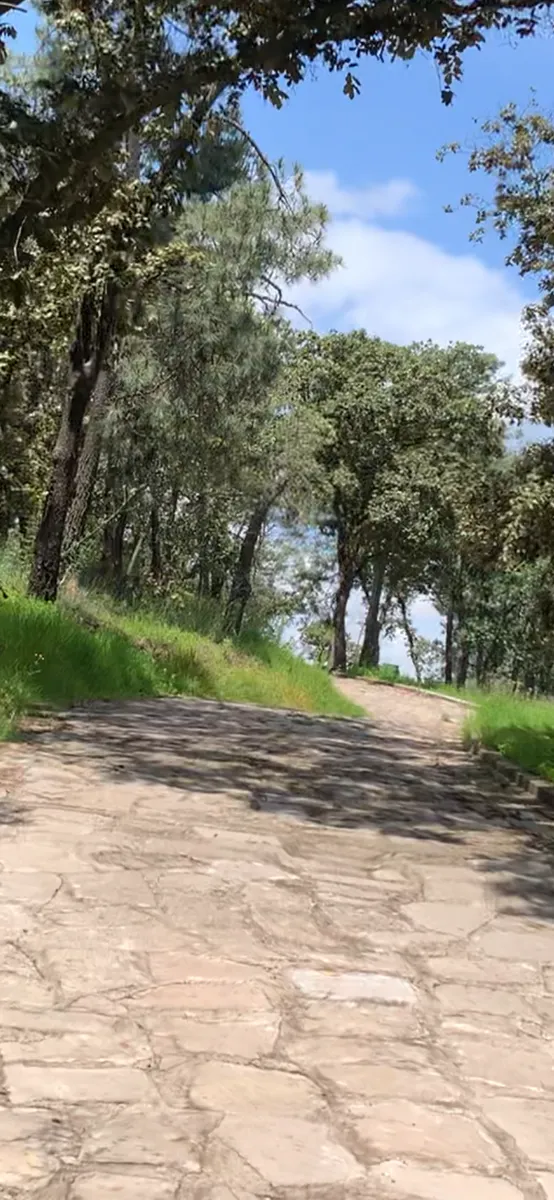 Terreno Spot2