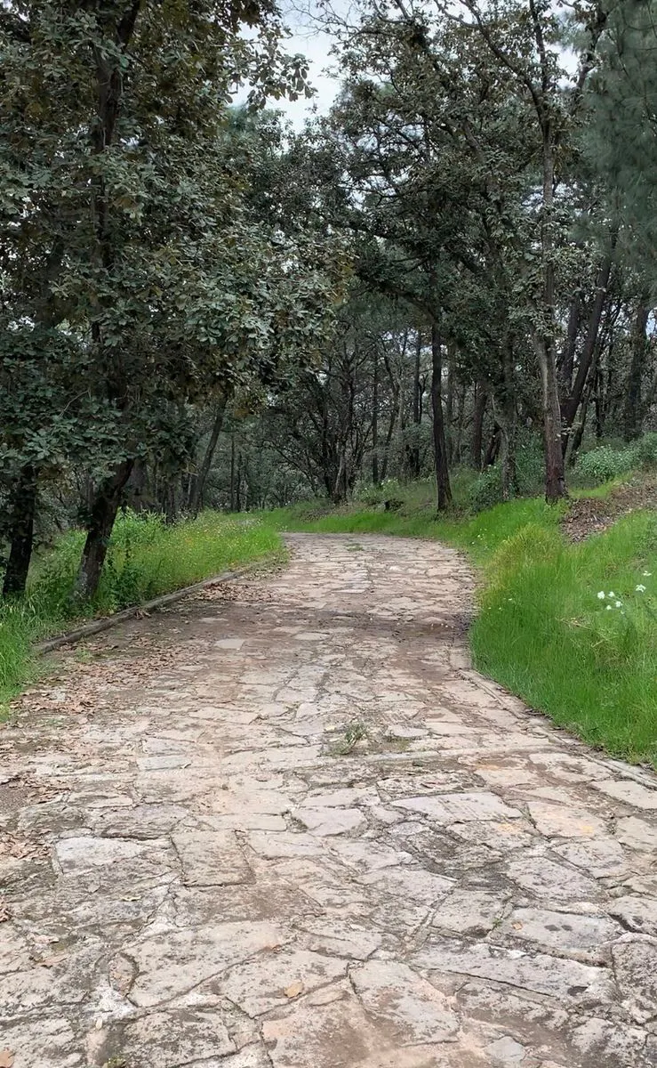 Terreno Spot2
