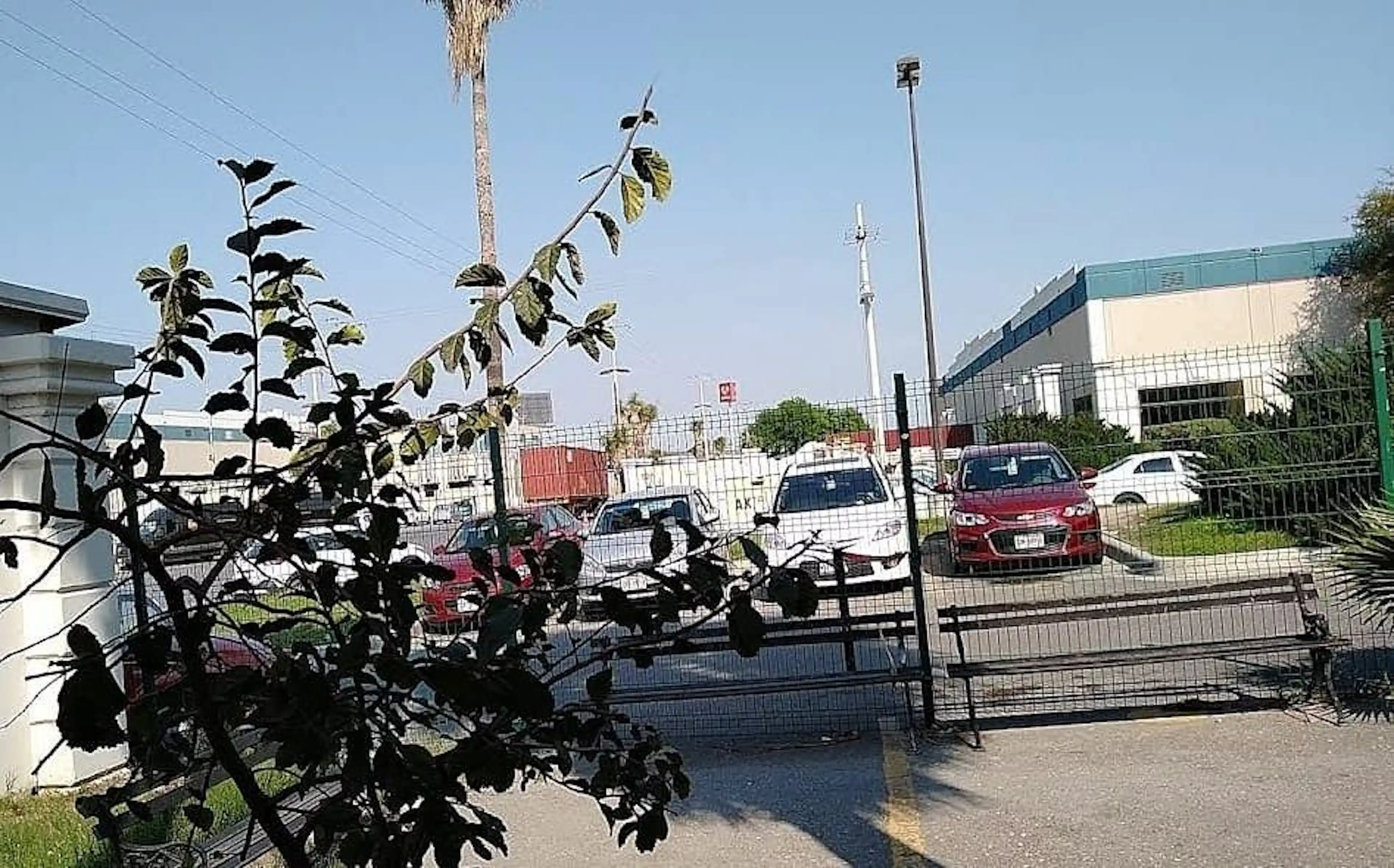 KALOS APODACA