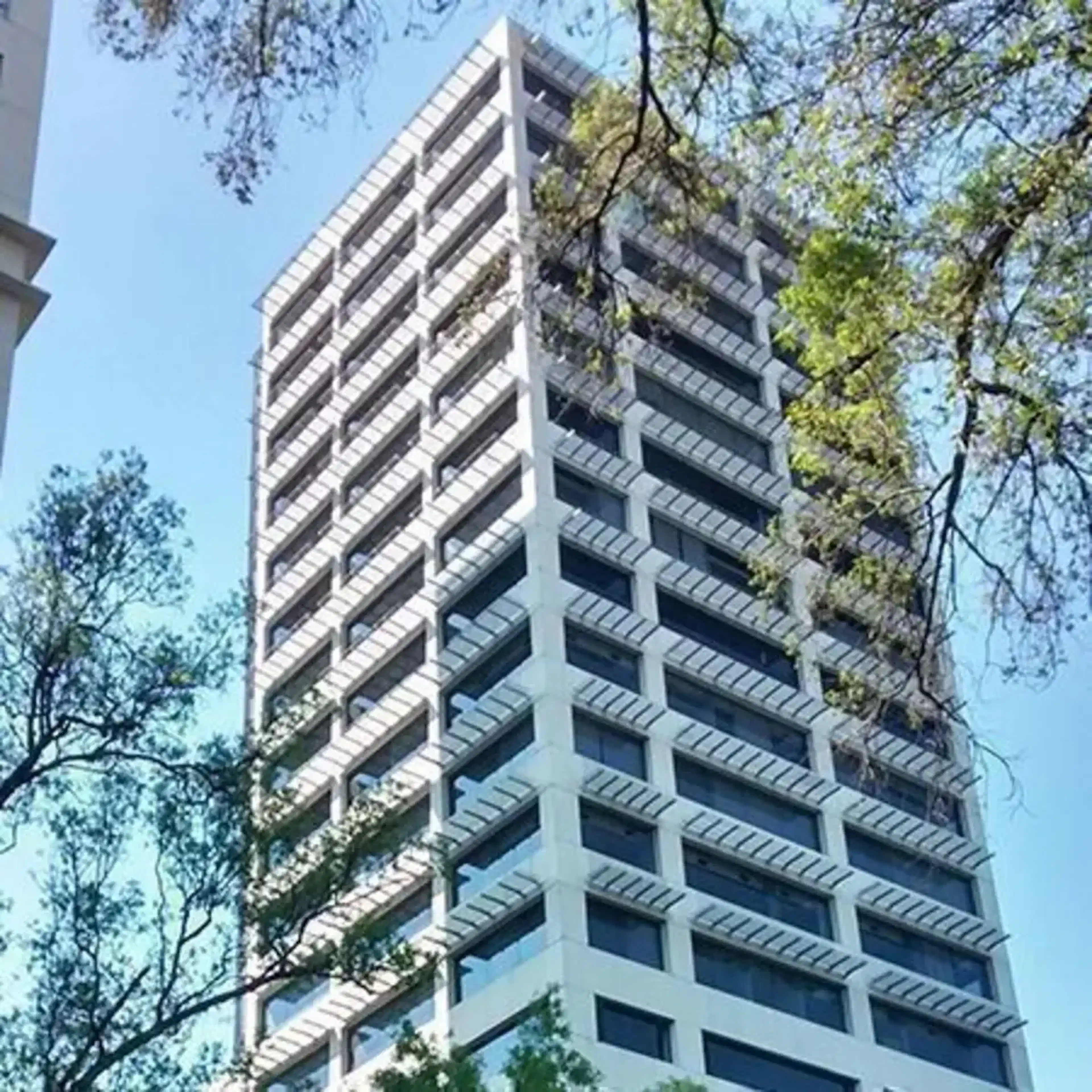 Avenida Insurgentes Sur
