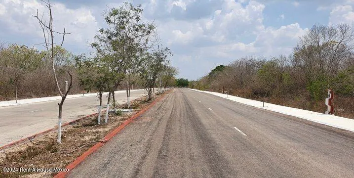 Terreno Spot2