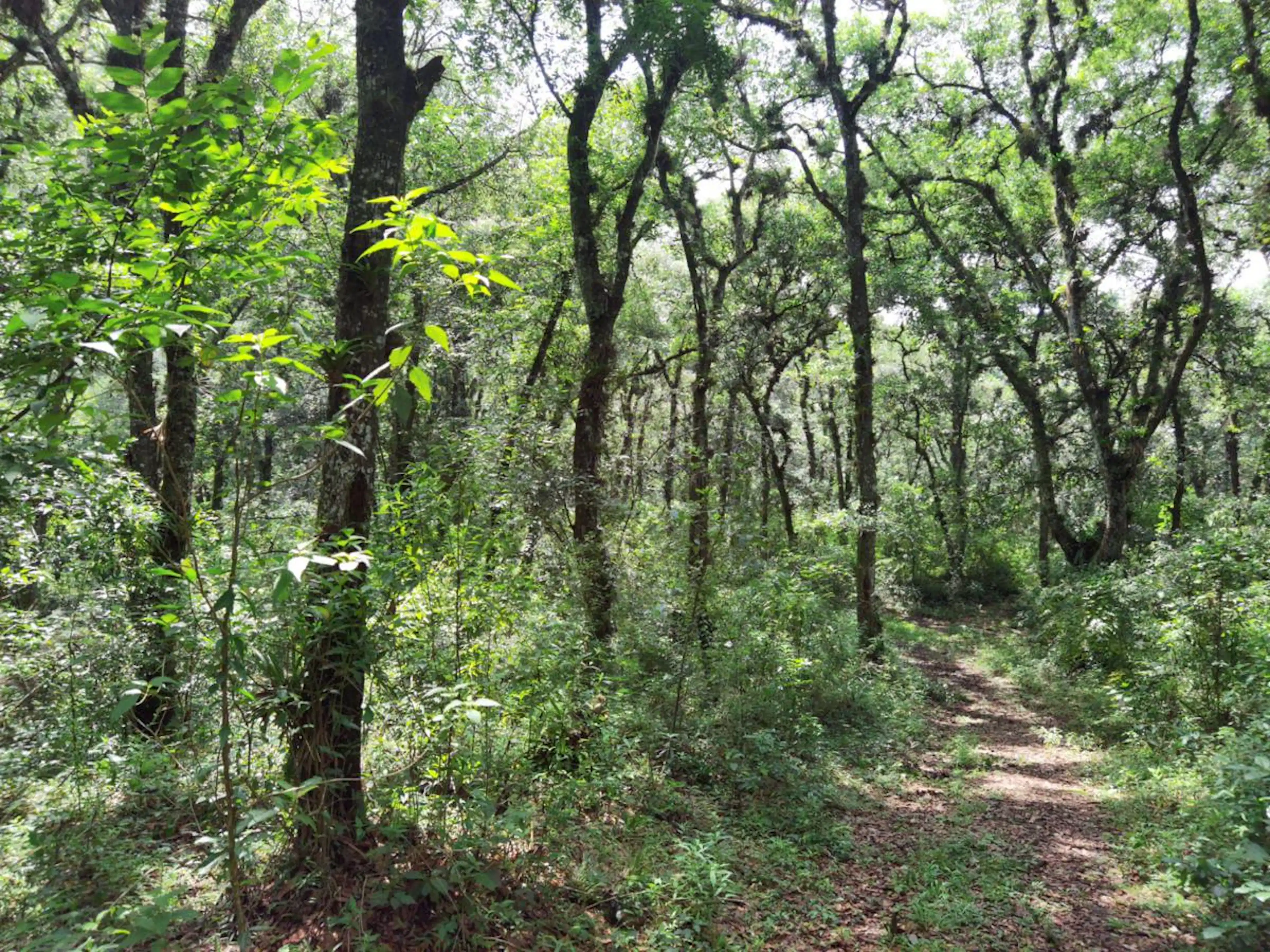 Terreno En Venta En Coacoatintla Veracruz Km 9 Con Produccion De Piedra