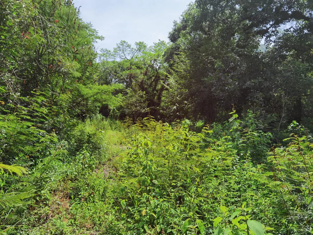 Terreno Spot2