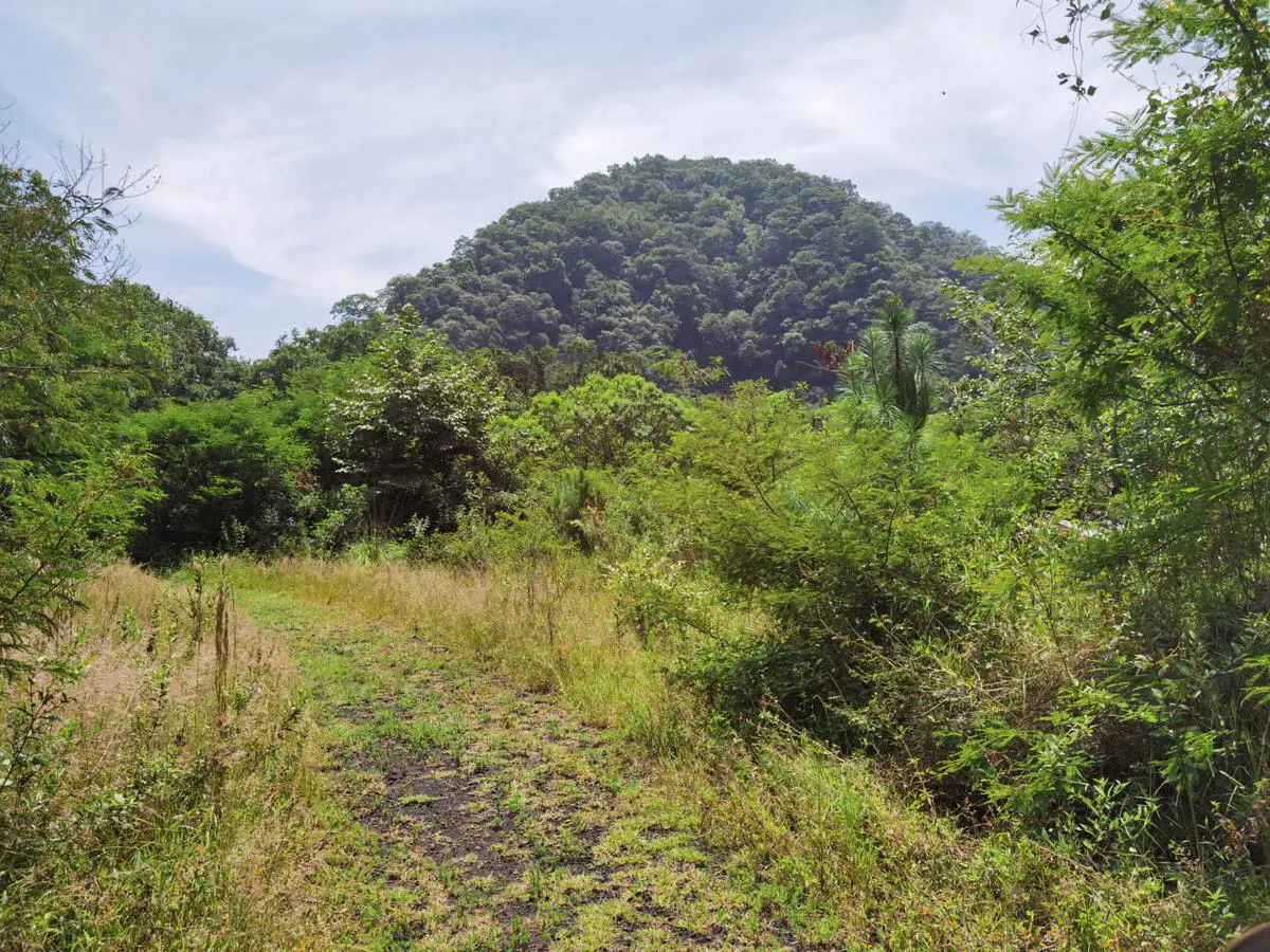 Terreno Spot2