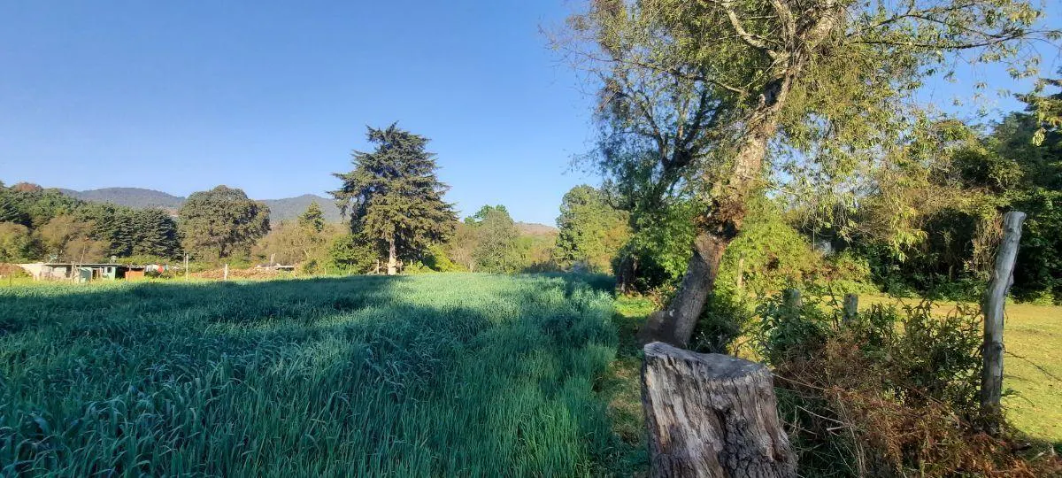 Terreno Spot2