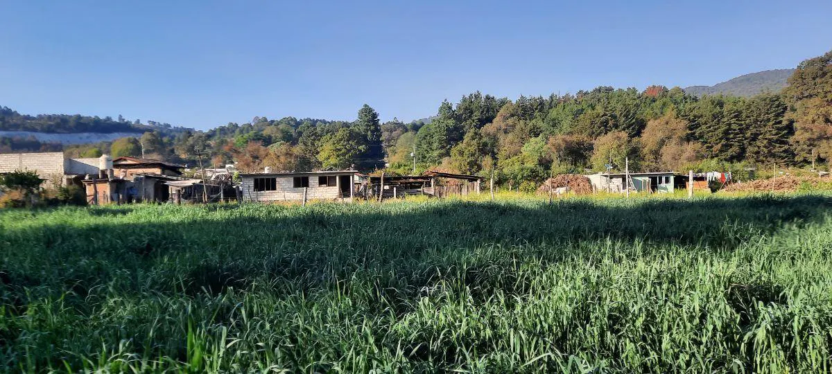 Terreno Spot2