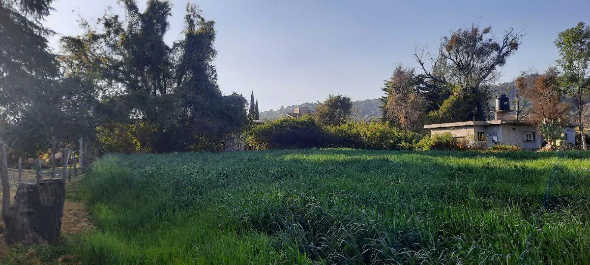 Terreno Spot2
