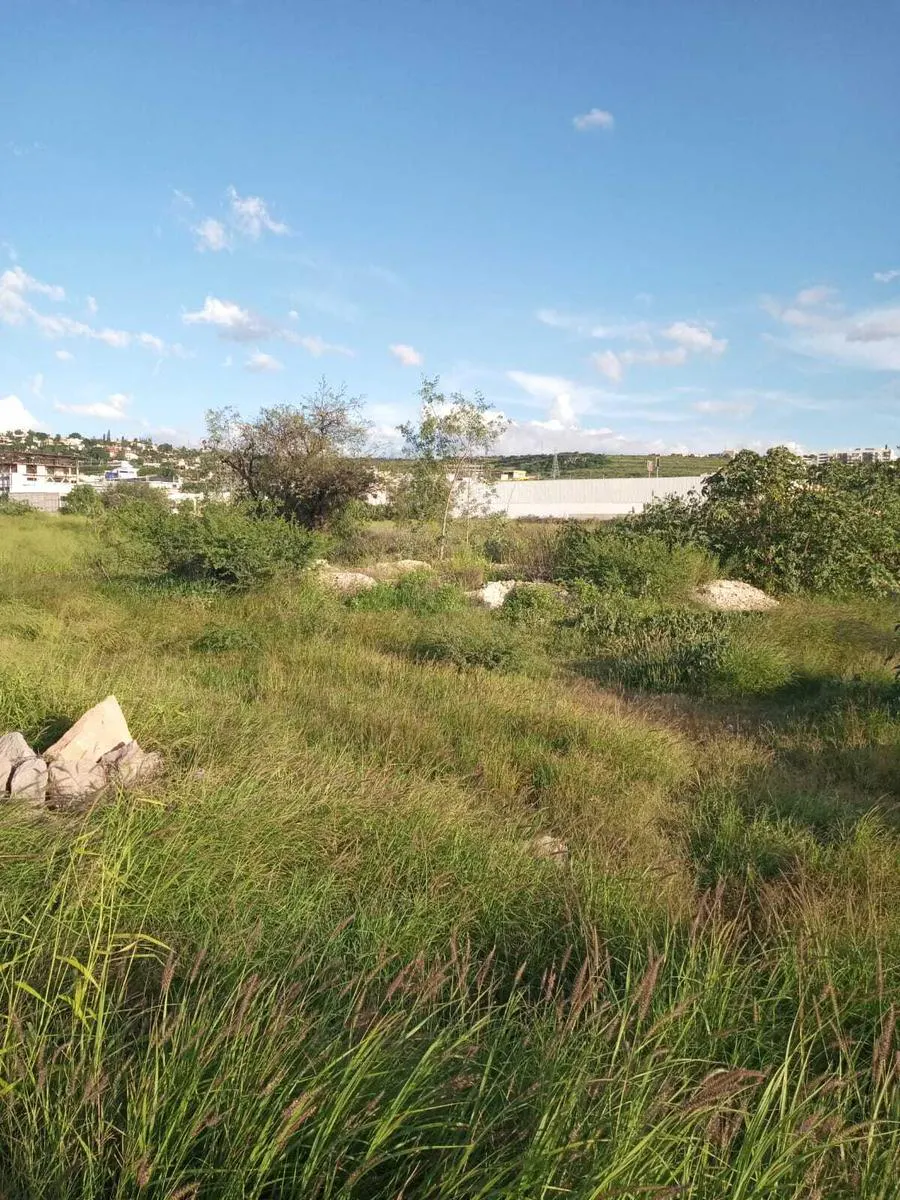Terreno Spot2