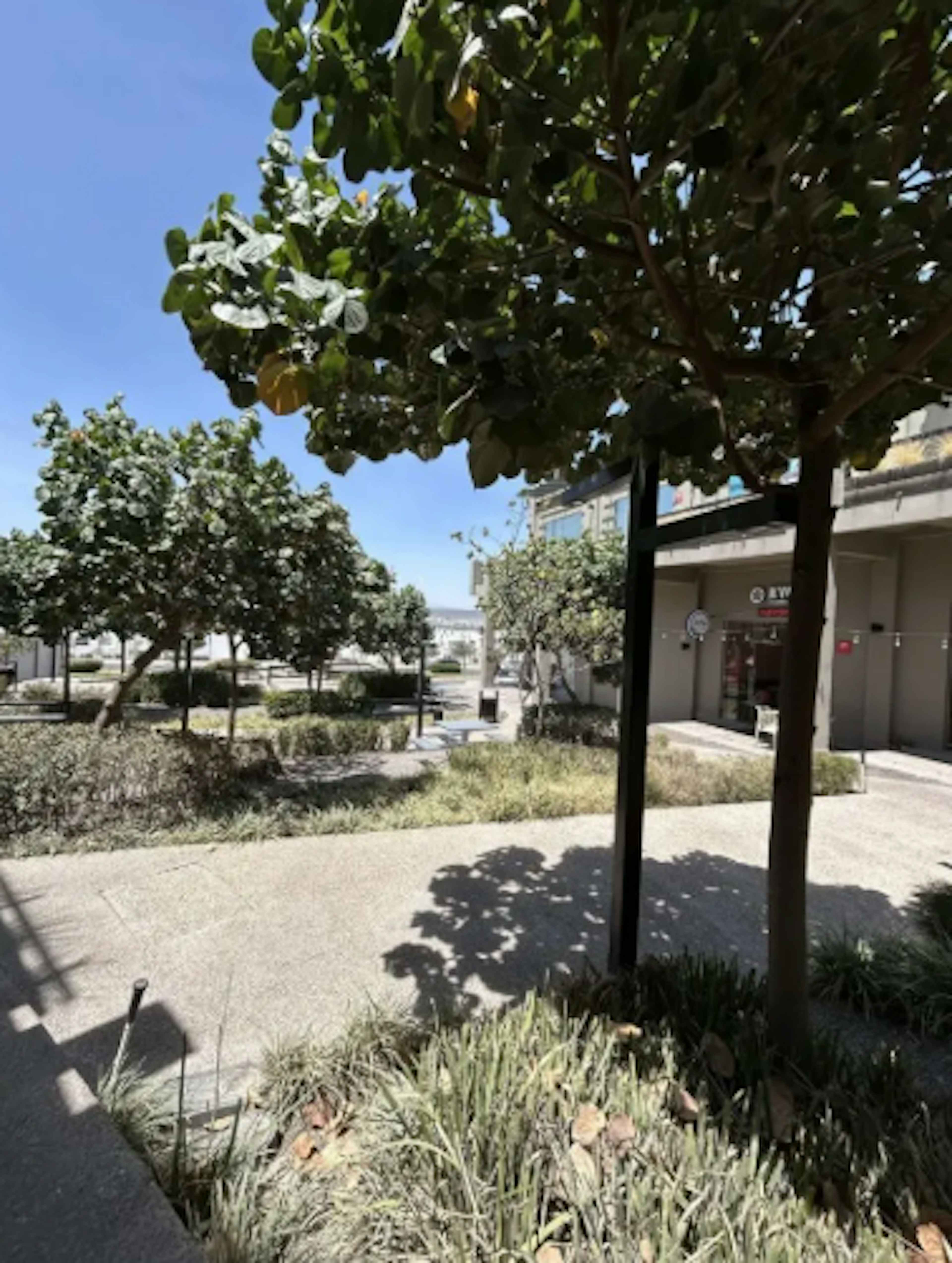 Paseo De Zinnia Poniente