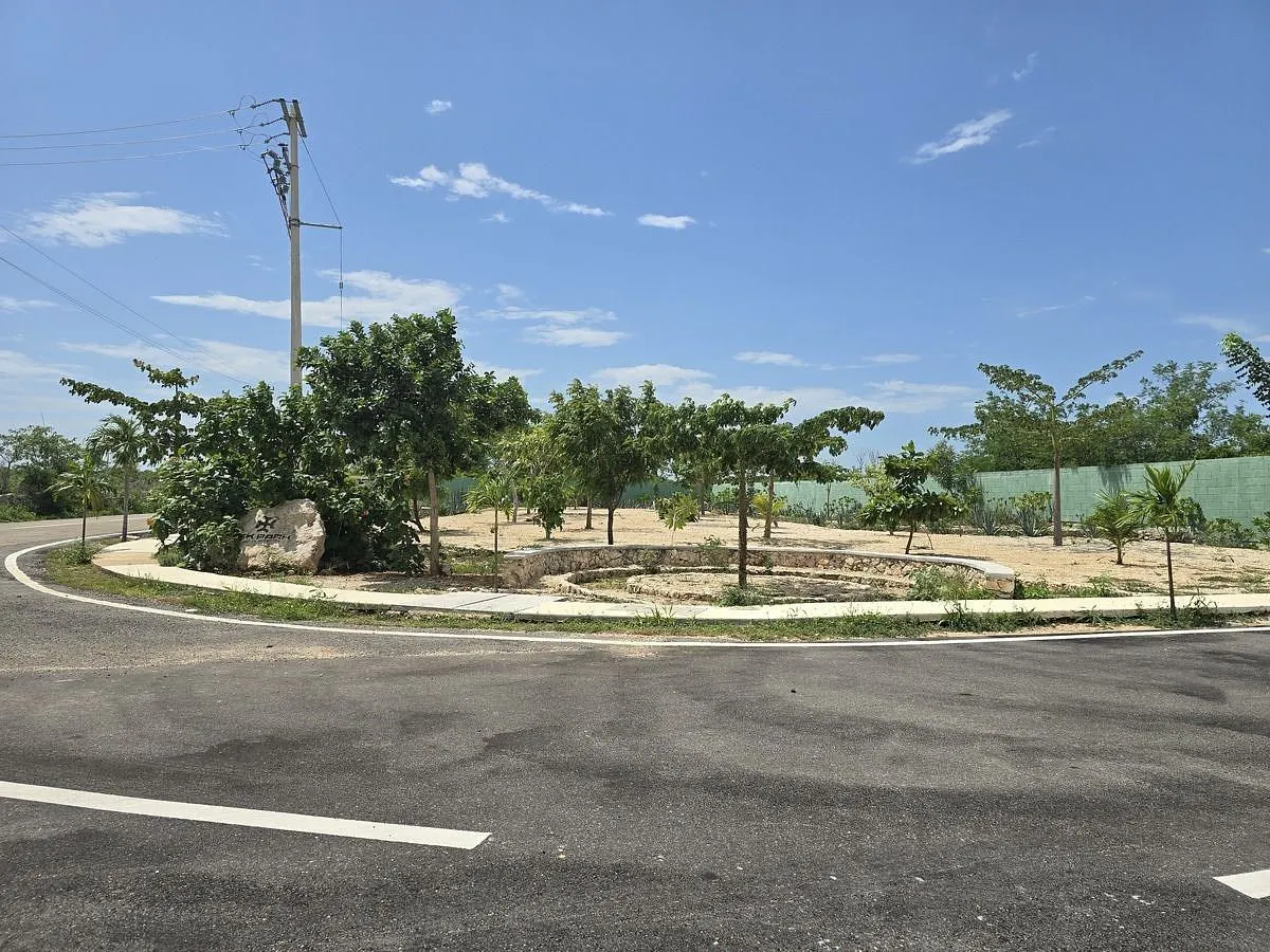 Terreno Spot2