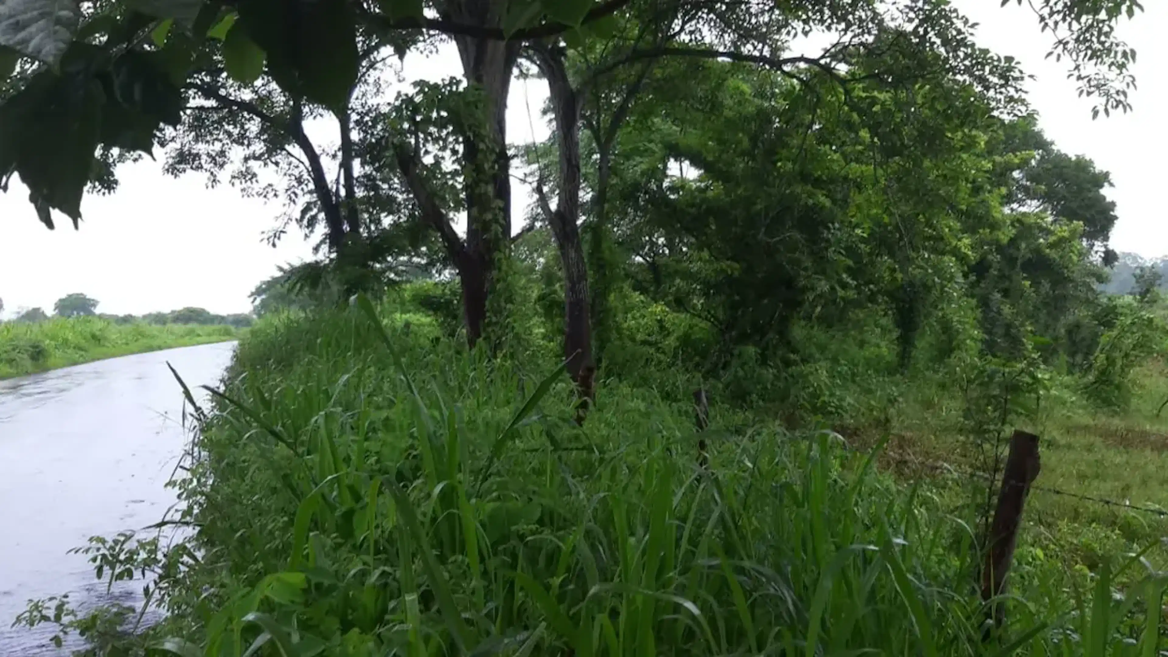 Terreno En Venta En El Buzón, Manlio Fabio Altamirano, Veracruz De Ignacio De La Llave