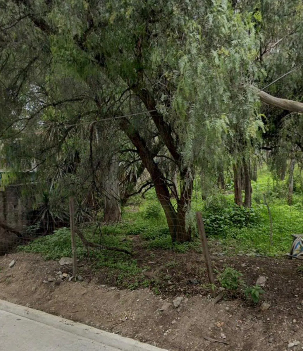 Terreno Spot2