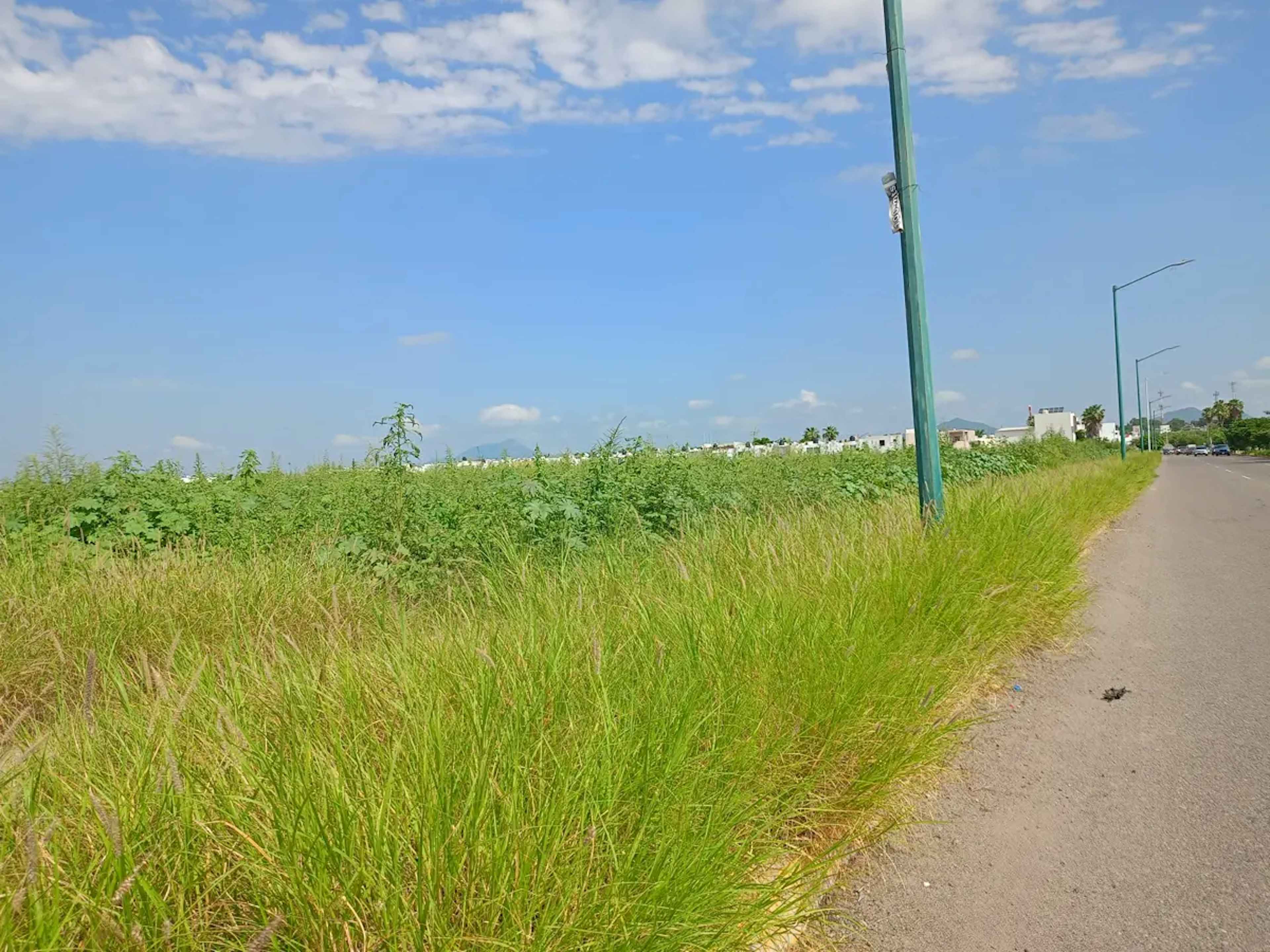 Terreno En Renta En Culiacán Tres Ríos, Culiacán, Sinaloa