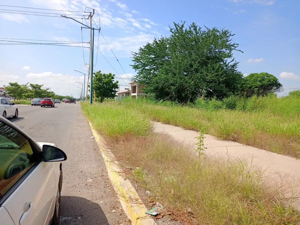 Terreno Spot2