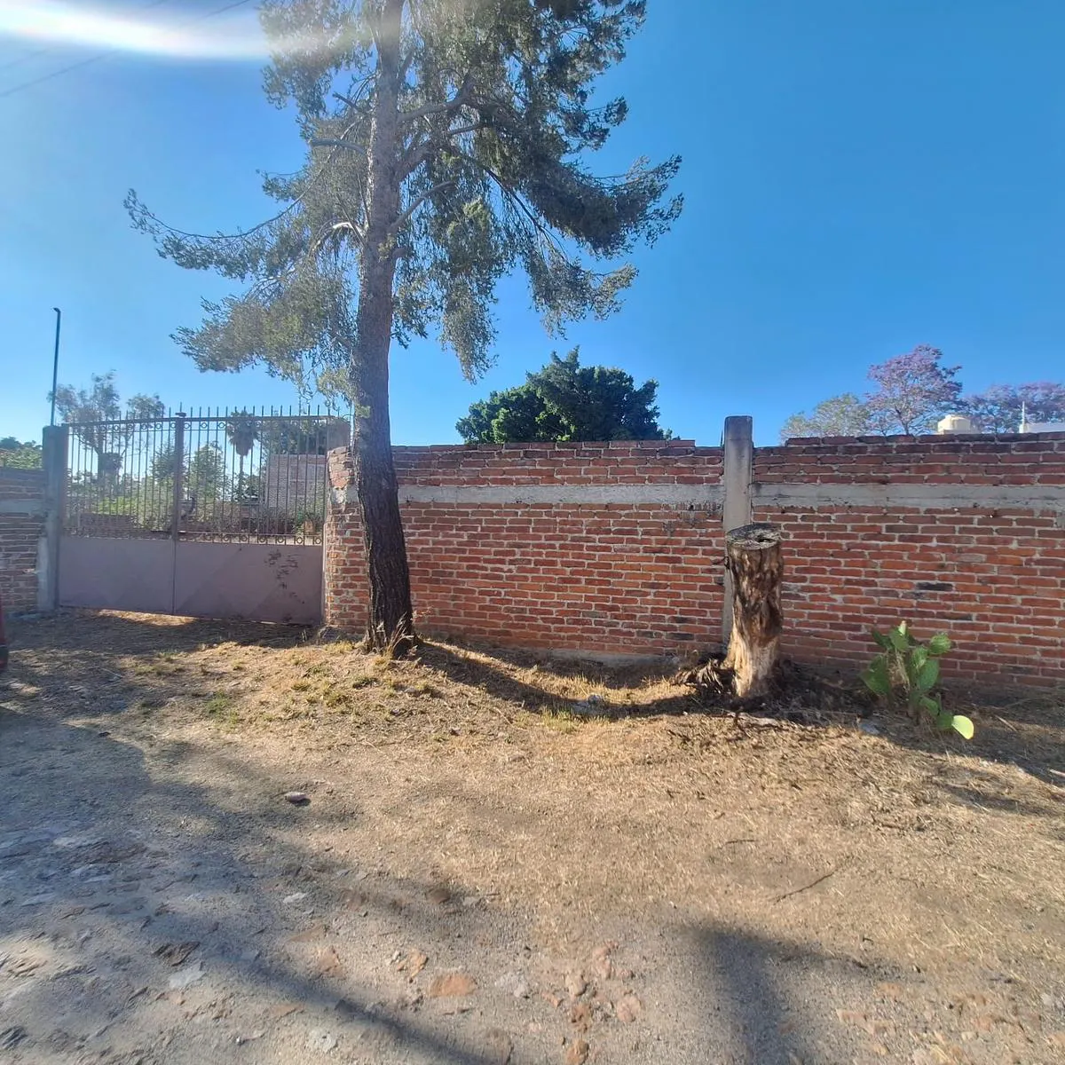 Terreno Spot2