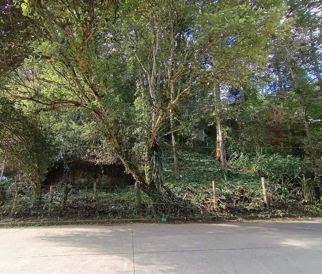 Terreno Spot2