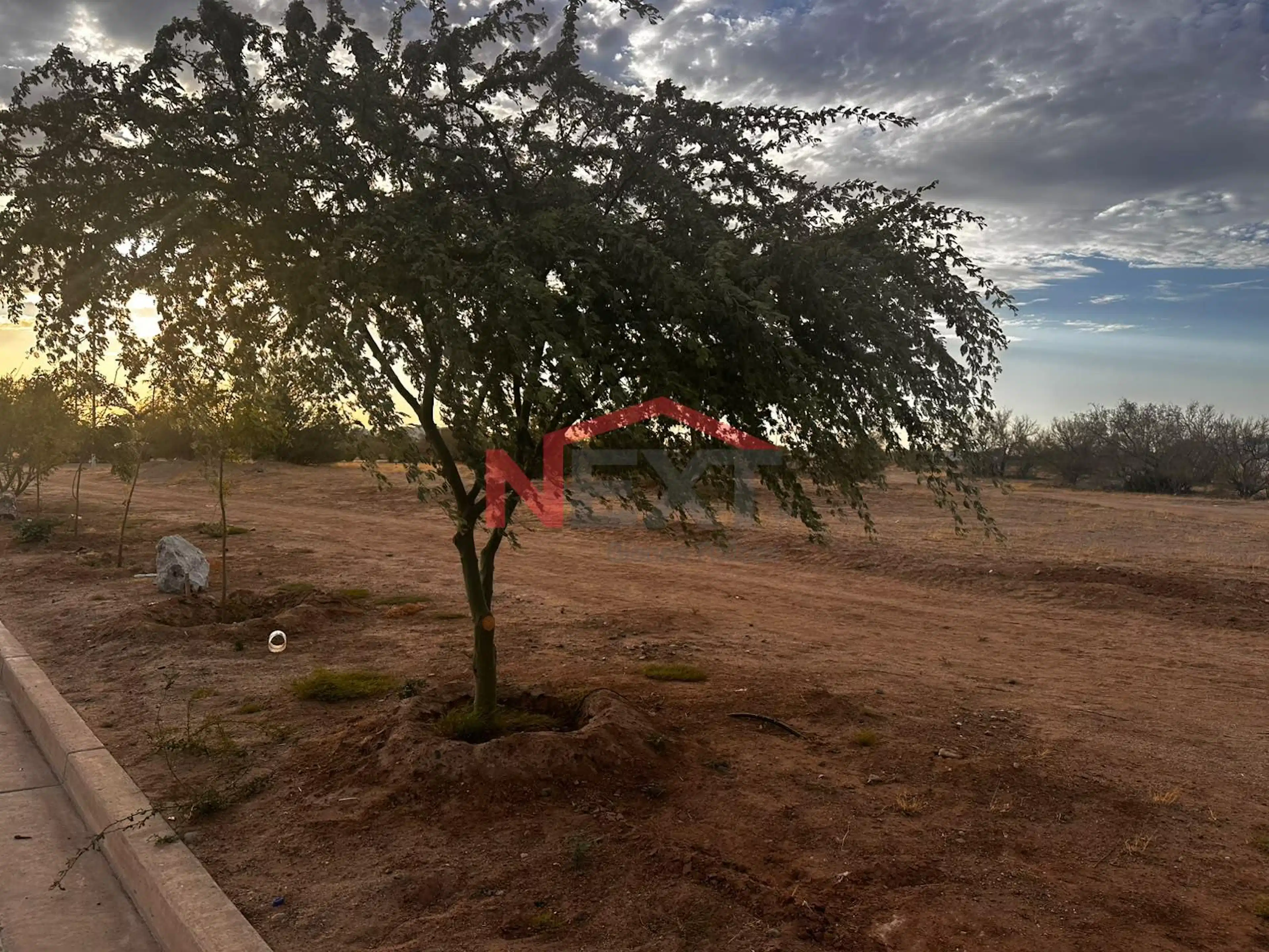 TERRENO EN RENTA SOBRE BLVD. COLOSIO COL. LA MANGA