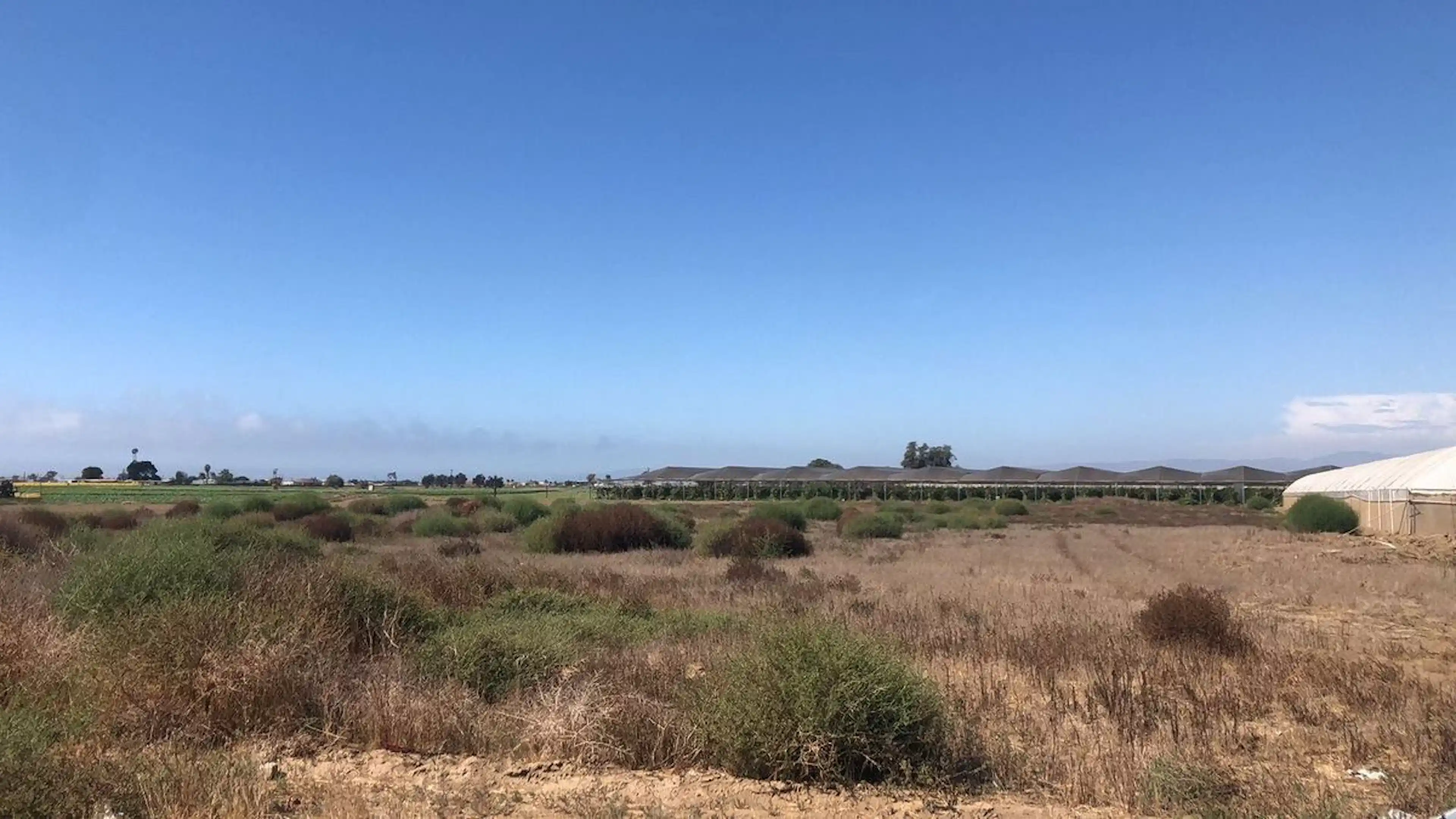 Se Venden Terrenos En Maneadero | Uso Comercial Y Habitacional