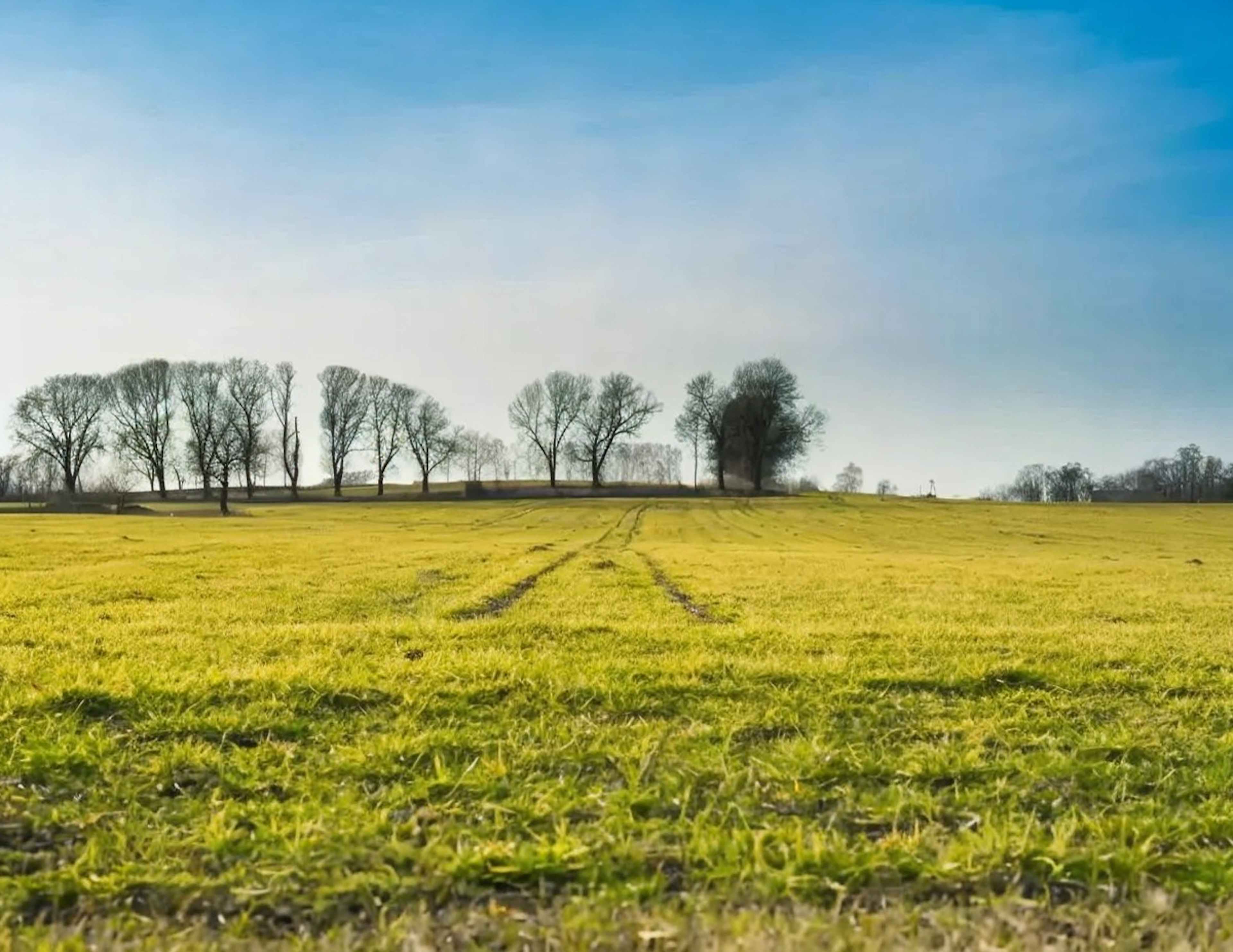 Terreno En Venta En El Rayo