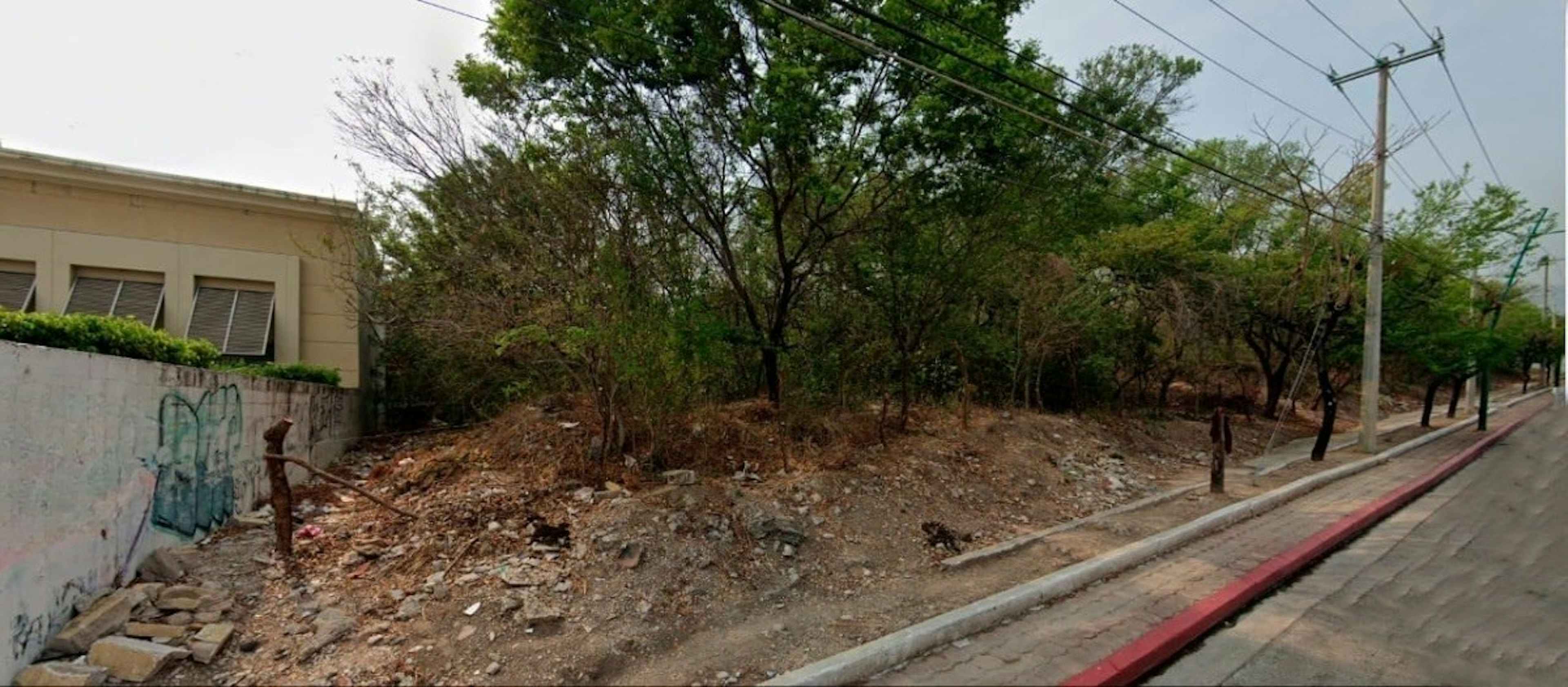 Andrés Serra Rojas 2