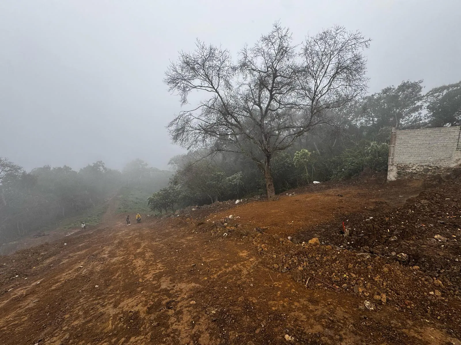Terreno Spot2