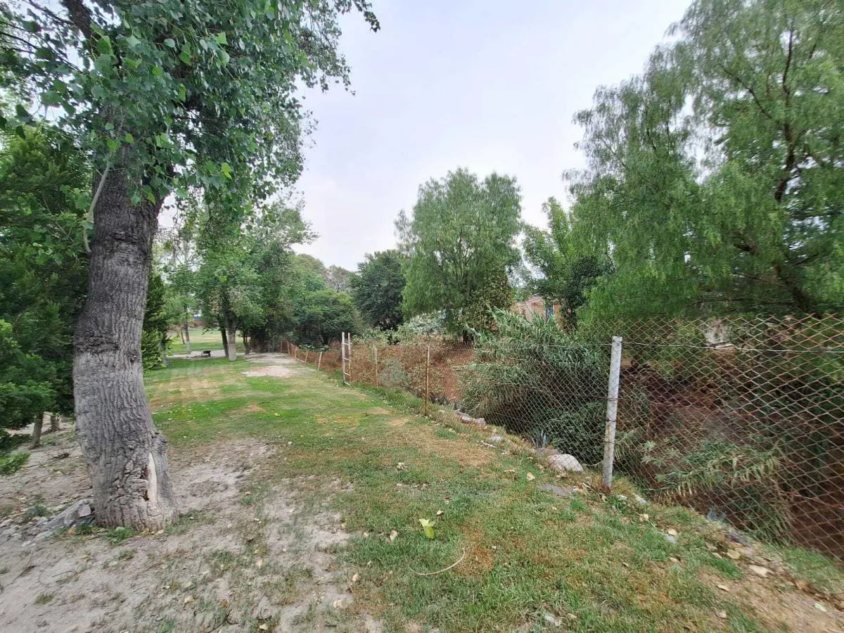 Terreno Spot2