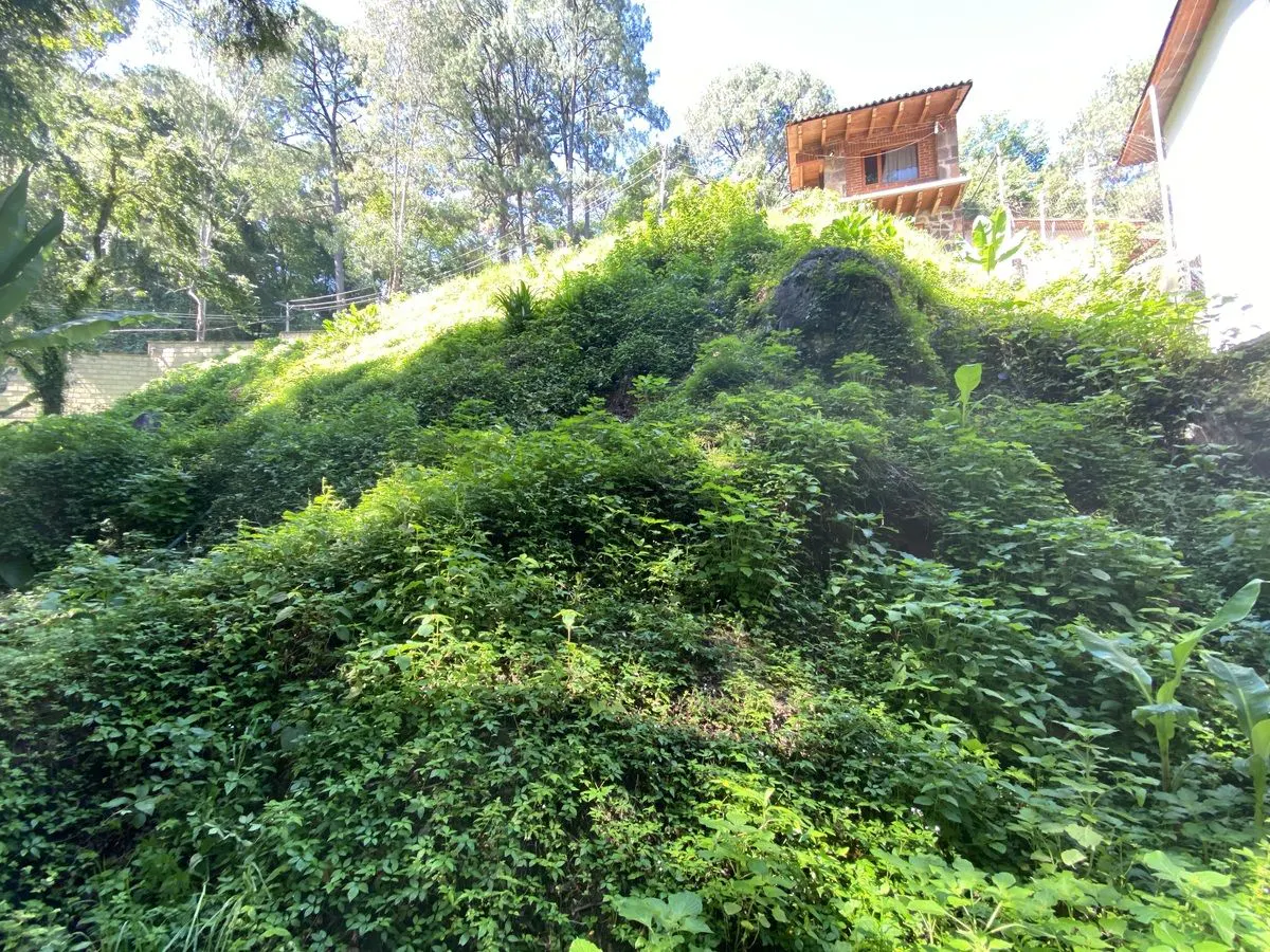 Terreno Spot2