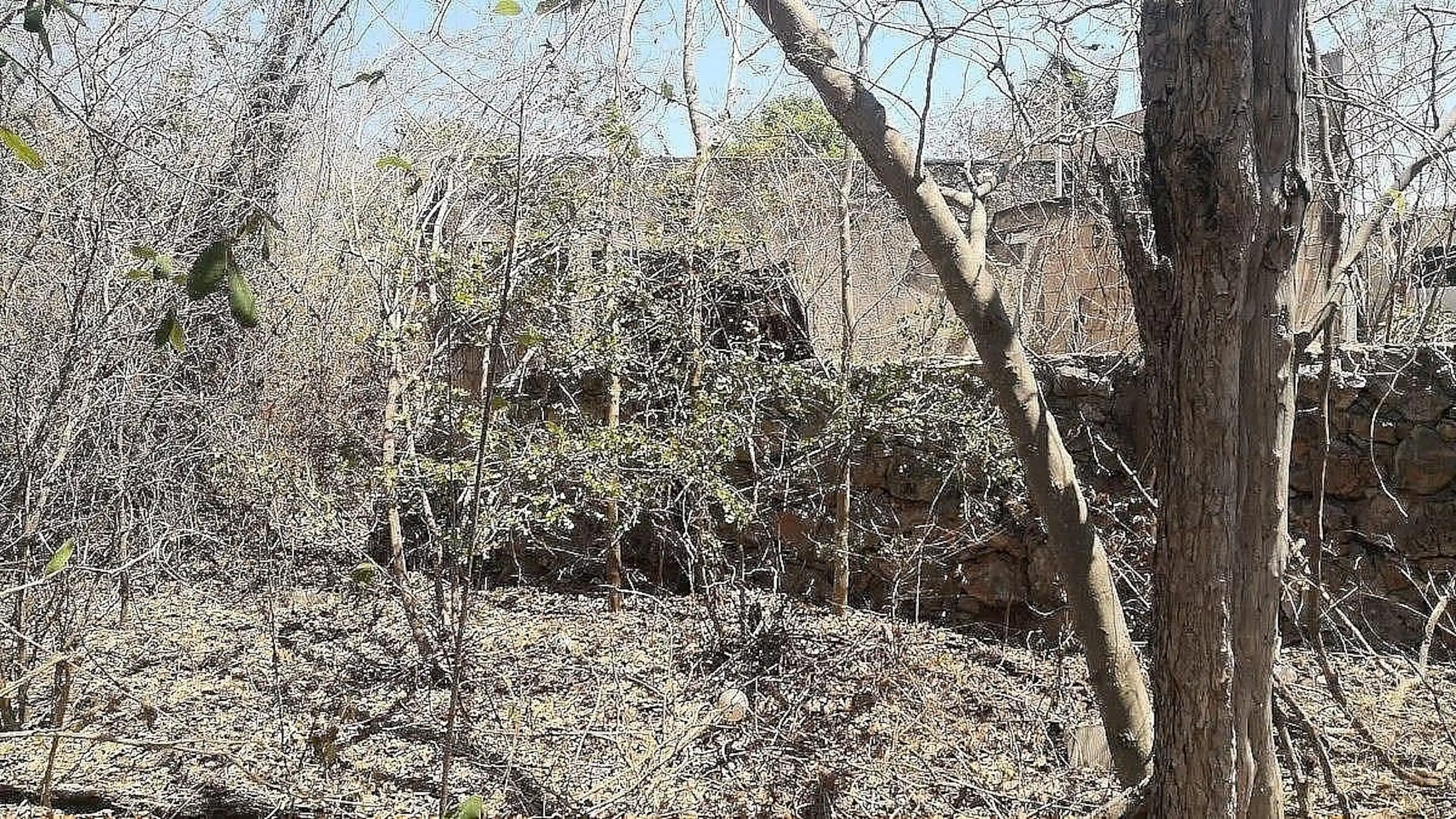 Terreno En Venta En HuxentamÁn, UmÁn – Propiedad Privada