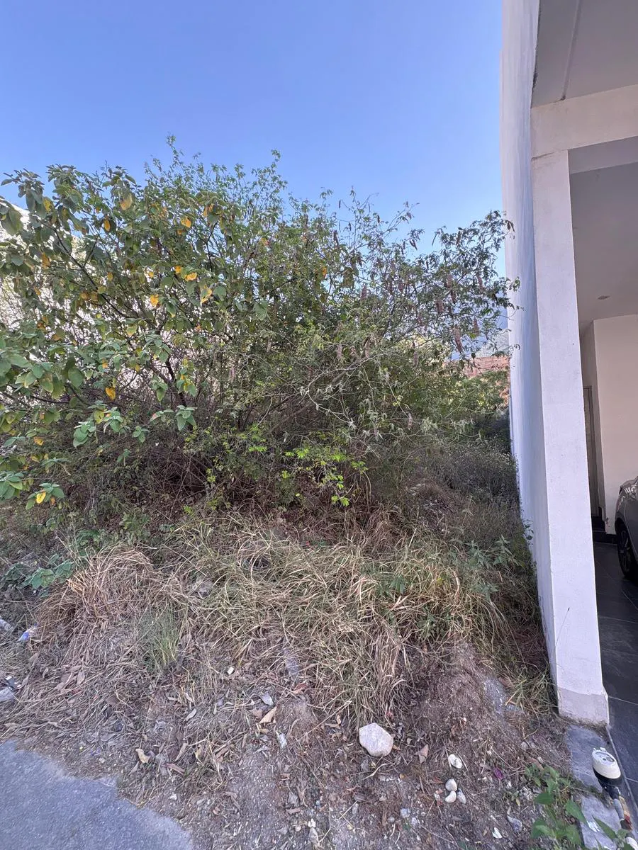 Terreno Spot2