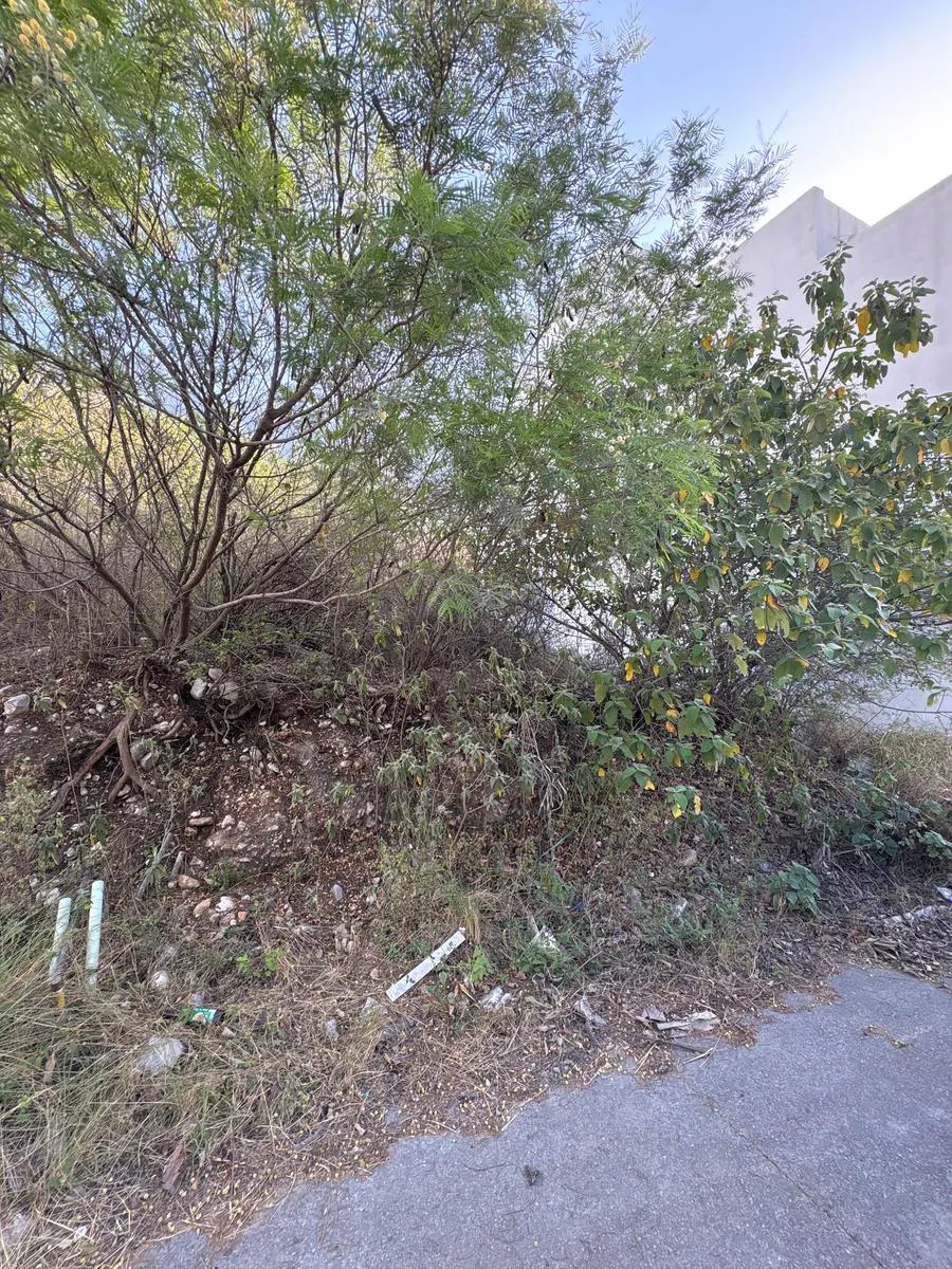 Terreno Spot2