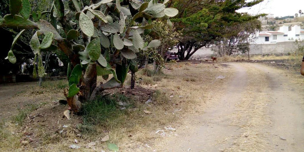 Terreno Spot2