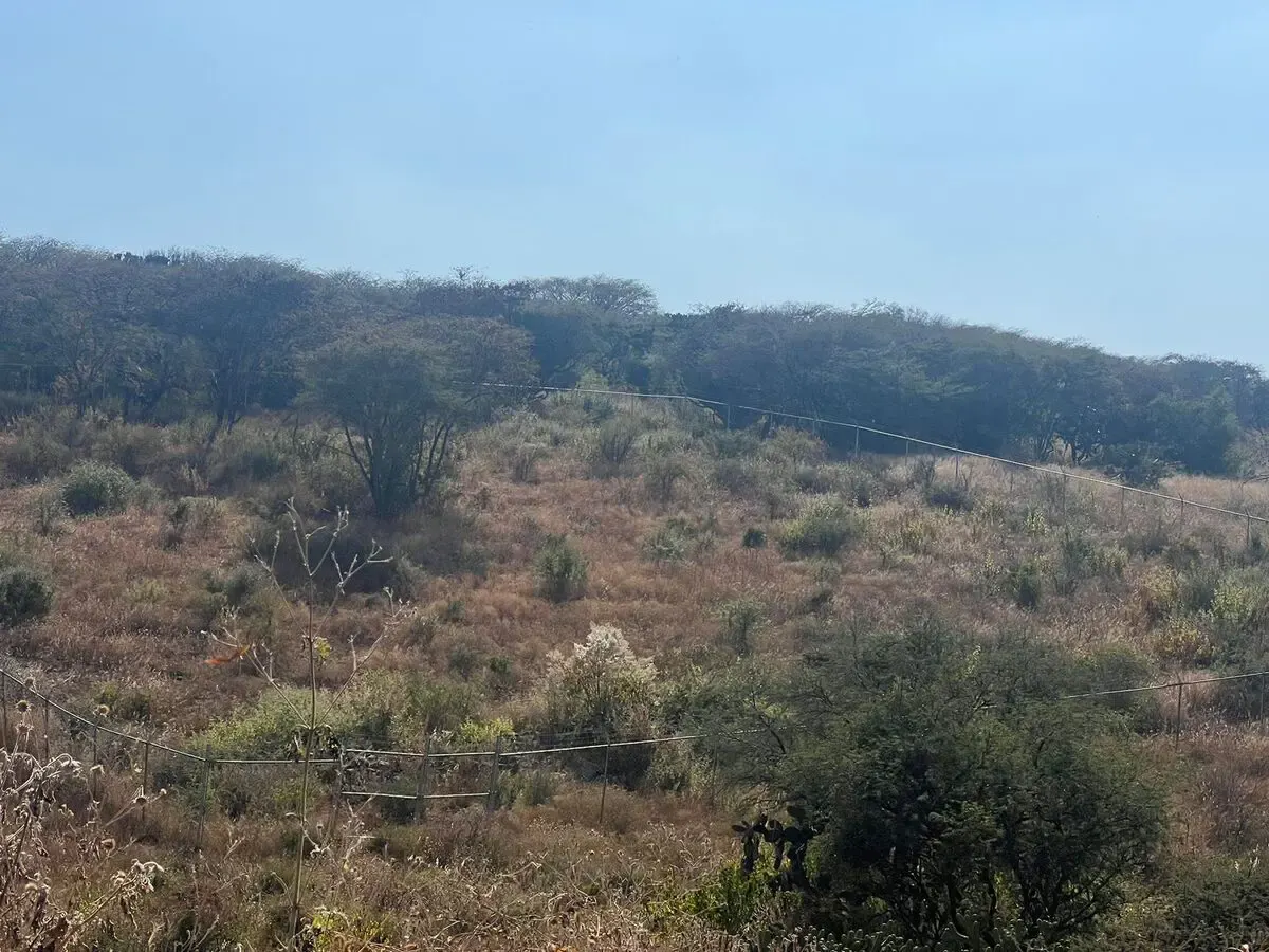 Terreno Spot2