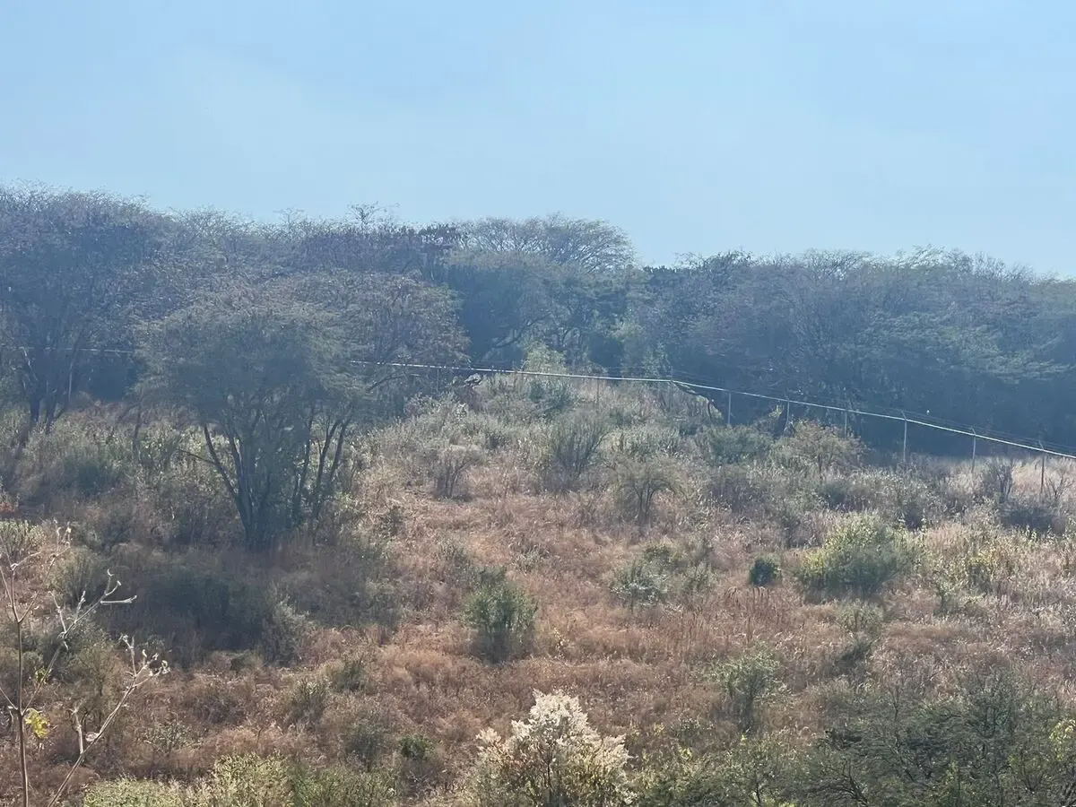 Terreno Spot2