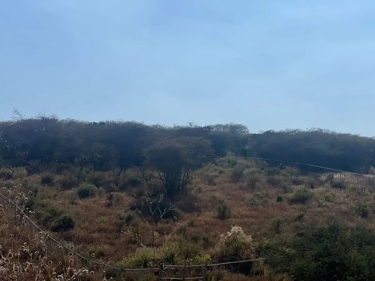 Terreno Spot2