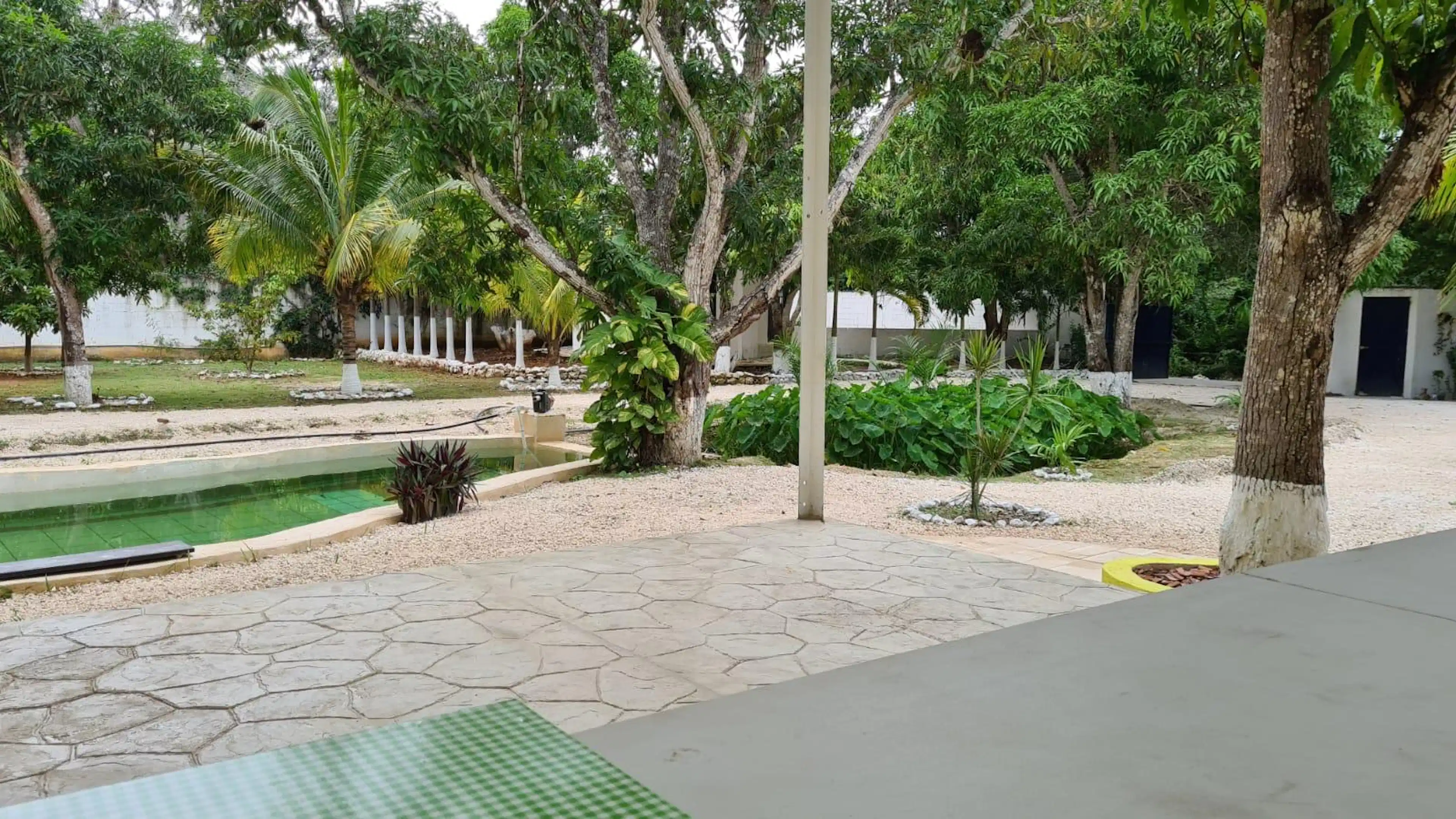 Terreno En  Venta 4 Hectareas -habitable Y Bardeado Con Alberca