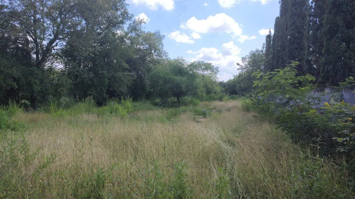 Terreno Spot2