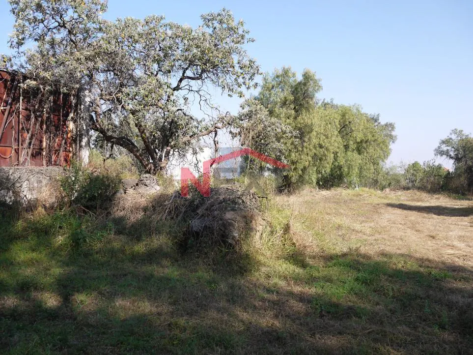Terreno Spot2