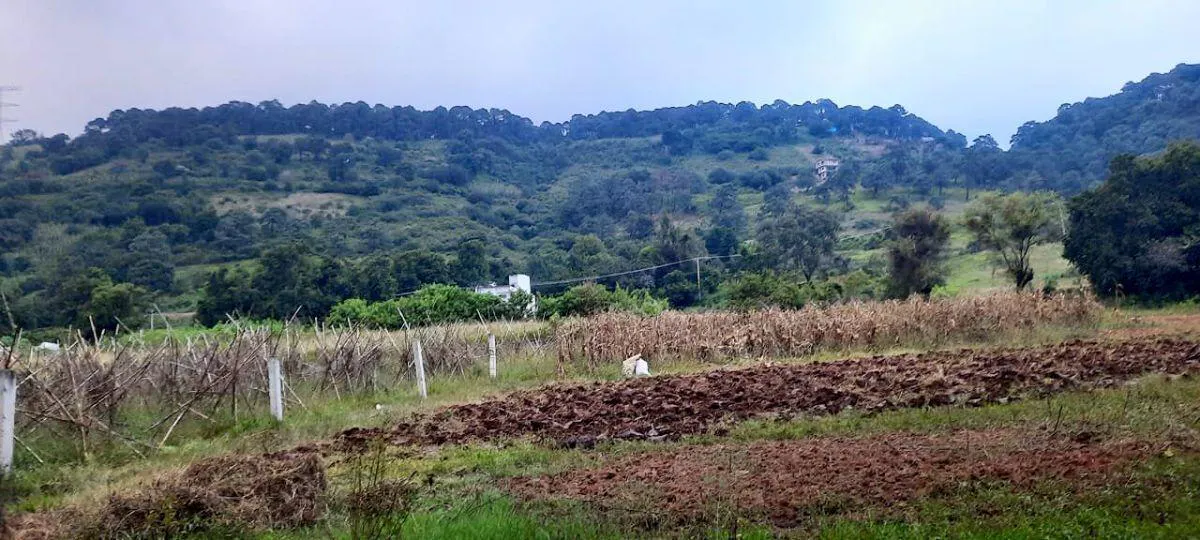 Terreno Spot2