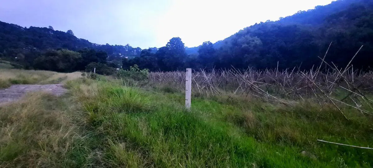 Terreno Spot2