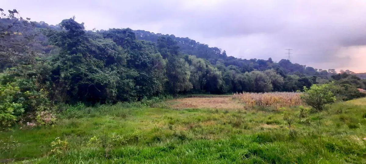 Terreno Spot2
