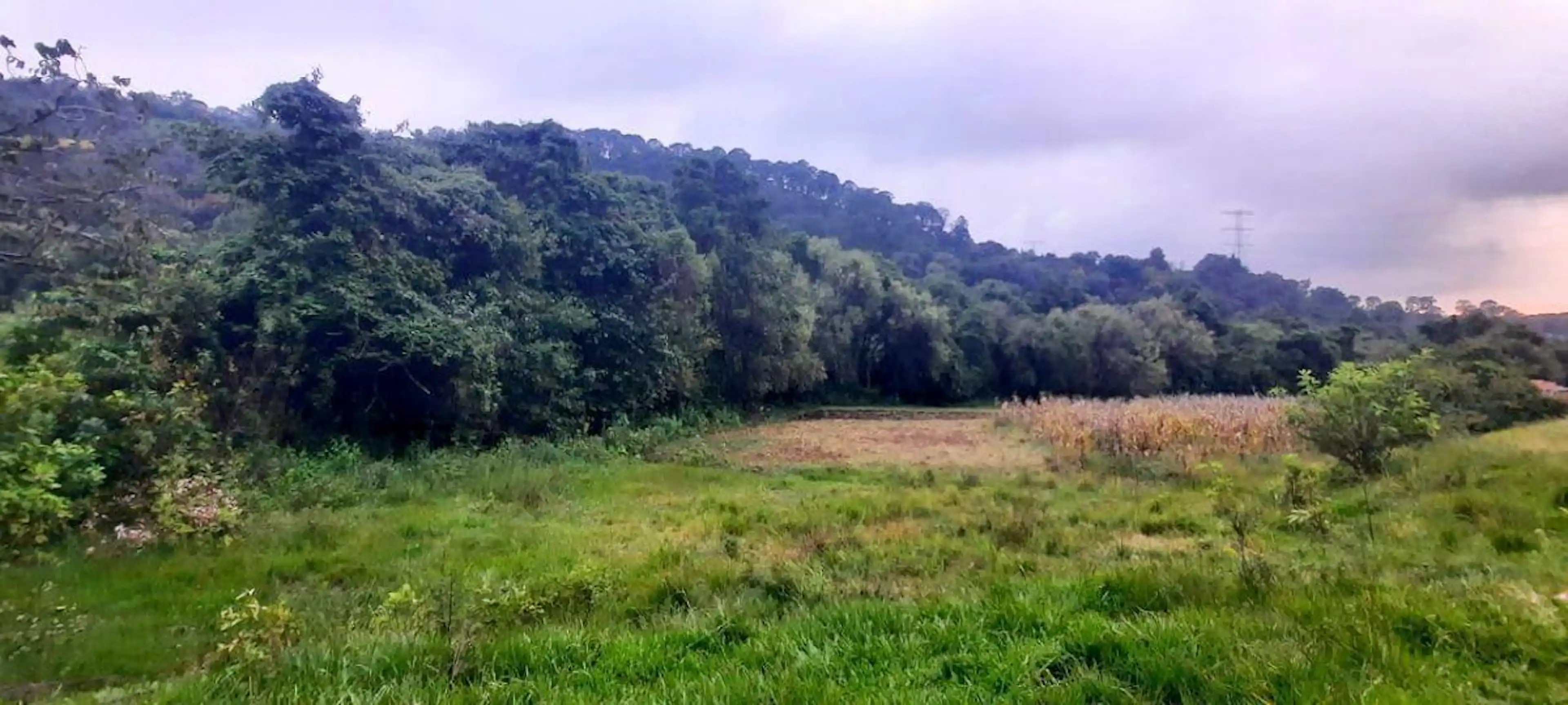 Terreno en Av. La Lameda